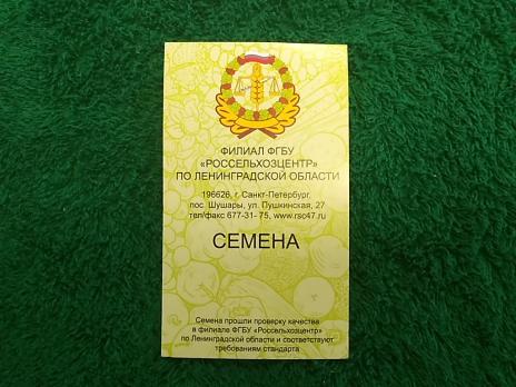 Колокольчик персиколистный
